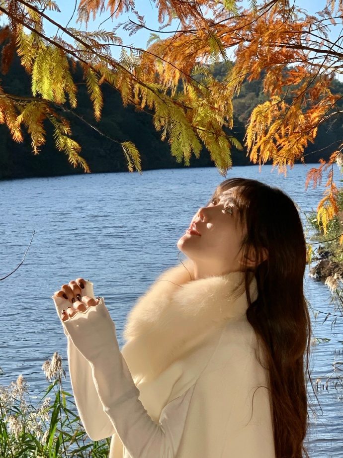 我的团长我的团