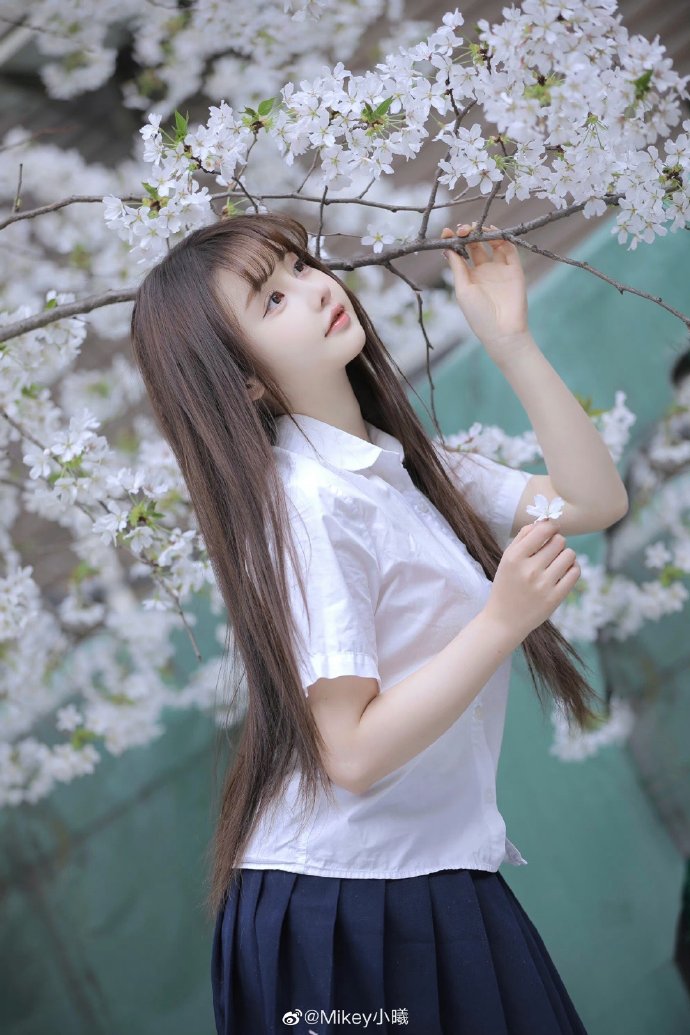机智的医生生活